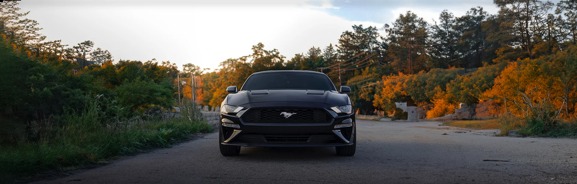 Turbocharge Your Drive Today